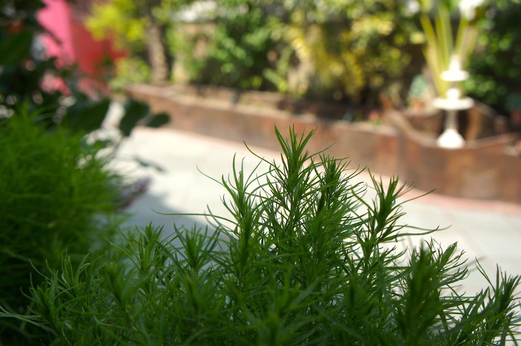 Sirohi House New Delhi Luaran gambar
