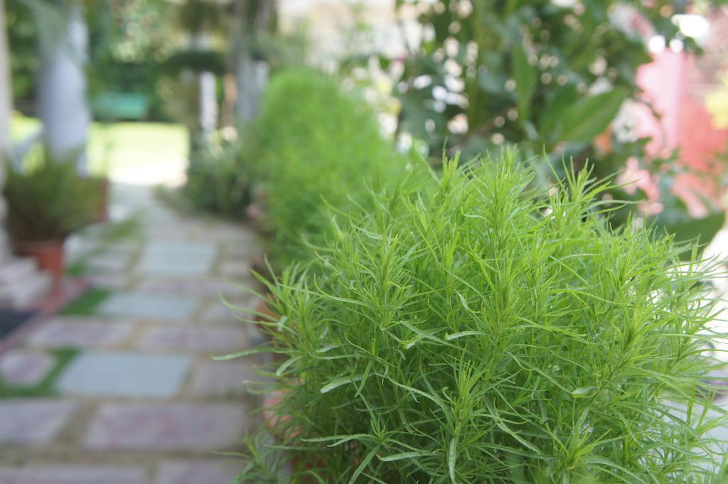 Sirohi House New Delhi Luaran gambar
